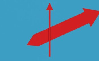Un simbolico equilibrio tra due frecce divise in direzioni opposte, rappresenta la divisione dei Democratici.