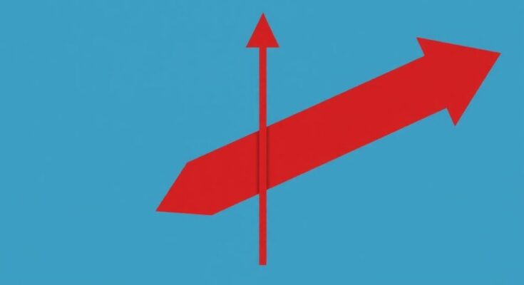 Un simbolico equilibrio tra due frecce divise in direzioni opposte, rappresenta la divisione dei Democratici.